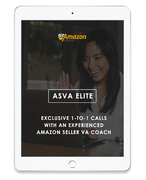 Exclusive 1-to-1 calls with an experienced Seller VA coach